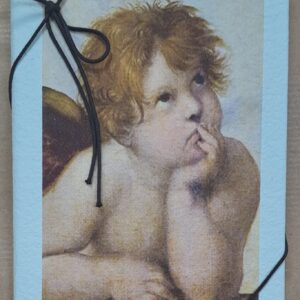 Diario Fabriano medio - angelo di Raffaello